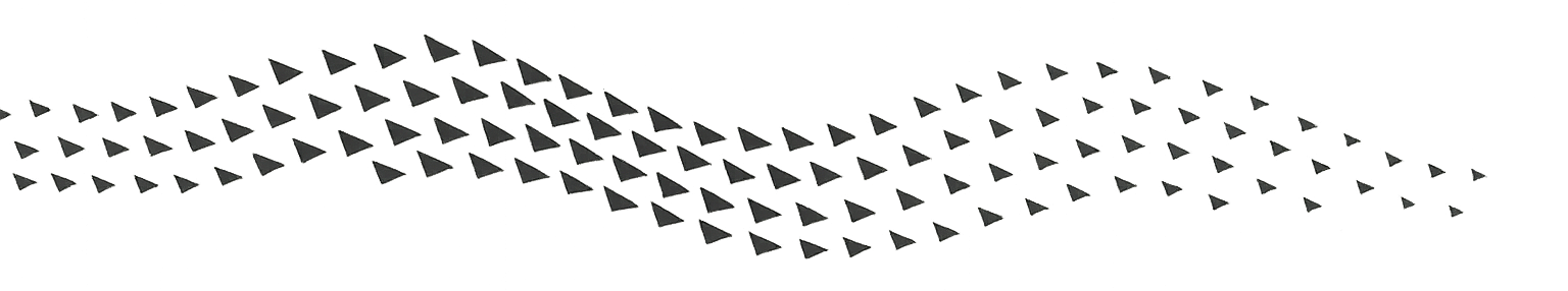 Murmuration of birds